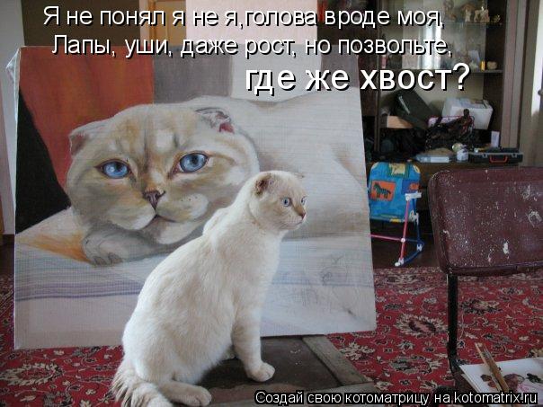 Лапы, уши, даже рост, но позвольте, где же хвост? Я не понял я не я,голова вроде моя,... Котоматрица: Лапы, уши, даже рост, но позвольте, где же хвост? Я не понял я не я,голова вроде моя,