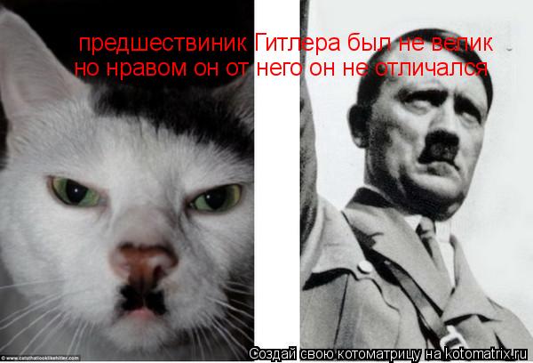 предшествиник Гитлера был не велик но нравом он от него он не отличался... Котоматрица: предшествиник Гитлера был не велик но нравом он от него он не отличался
