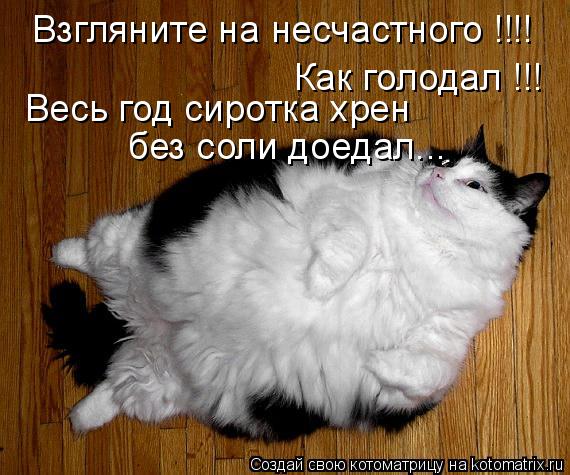 Котоматрица: Взгляните на несчастного !!!! Как голодал !!! Весь год сиротка хрен  без соли доедал...