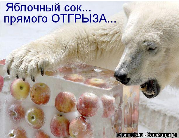 Яблочный сок... прямого ОТГРЫЗА...... Котоматрица: Яблочный сок... прямого ОТГРЫЗА...