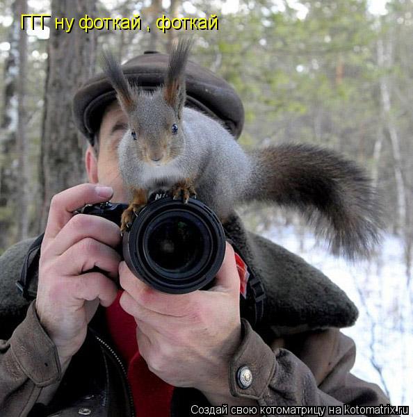 Котоматрица: ГГГ ну фоткай , фоткай