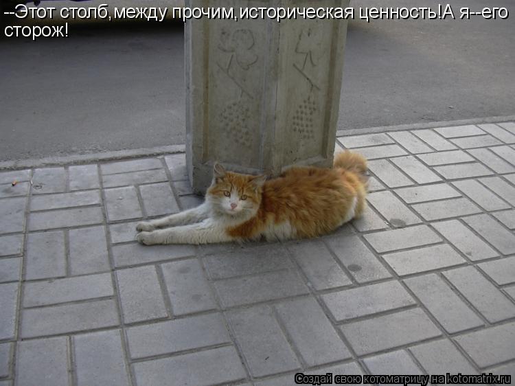 --Этот столб,между прочим,историческая ценность!А я--его сторож!... Котоматрица: --Этот столб,между прочим,историческая ценность!А я--его сторож!