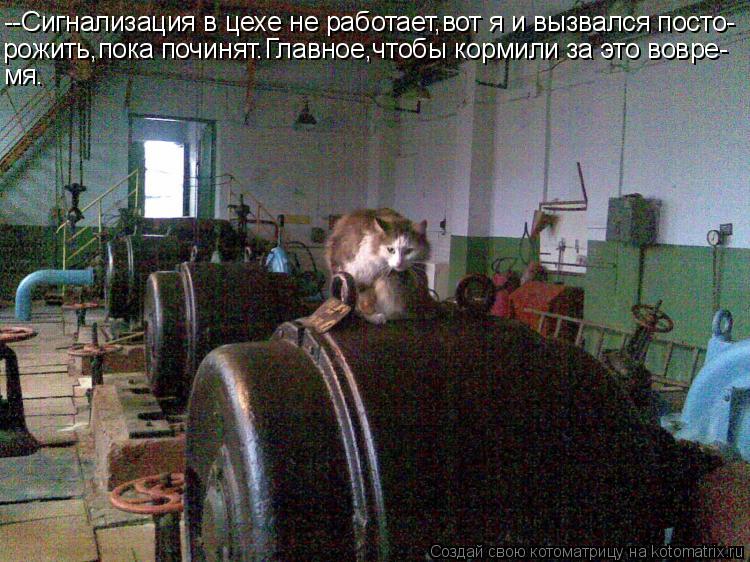 --Сигнализация в цехе не работает,вот я и вызвался посто- рожить,пока починят.Главное,чтобы кормили з... Котоматрица: --Сигнализация в цехе не работает,вот я и вызвался посто- рожить,пока починят.Главное,чтобы кормили за это вовре- мя.