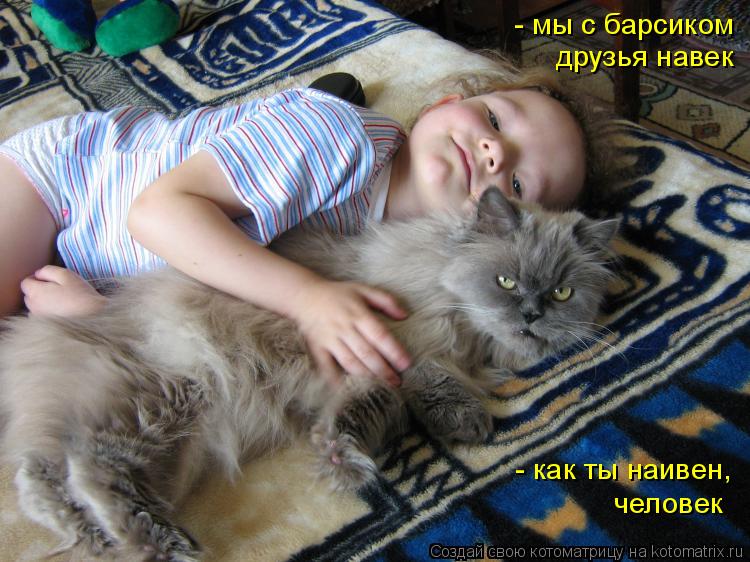 - мы с барсиком друзья навек - как ты наивен, человек... Котоматрица: - мы с барсиком друзья навек - как ты наивен, человек
