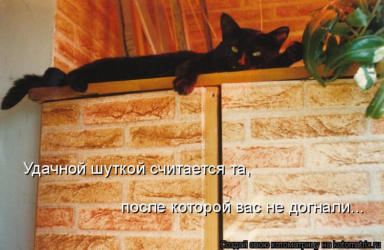 Удачной шуткой считается та, после которой вас не догнали...... Котоматрица: Удачной шуткой считается та, после которой вас не догнали...