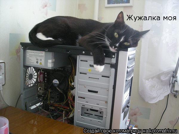 Жужалка моя... Котоматрица: Жужалка моя