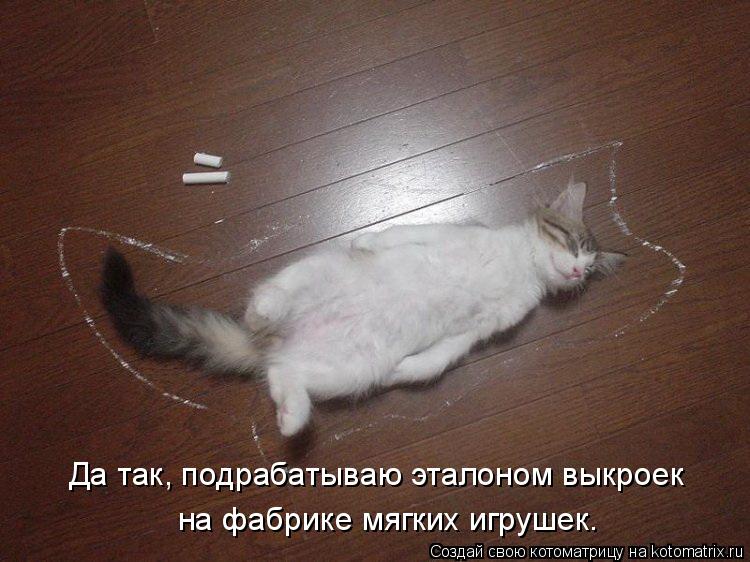 Да так, подрабатываю эталоном выкроек на фабрике мягких игрушек.... Котоматрица: Да так, подрабатываю эталоном выкроек на фабрике мягких игрушек.