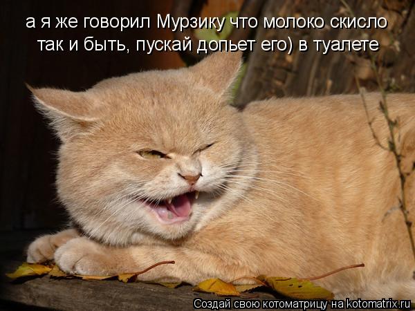 а я же говорил Мурзику что молоко скисло так и быть, пускай допьет его) в туалете... Котоматрица: а я же говорил Мурзику что молоко скисло так и быть, пускай допьет его) в туалете