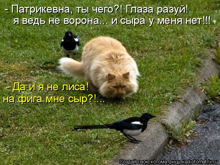 - Патрикевна, ты чего?! Глаза разуй! я ведь не ворона... и сыра у меня нет!!! - Да и я не лиса! на фи... Котоматрица: - Патрикевна, ты чего?! Глаза разуй! я ведь не ворона... и сыра у меня нет!!! - Да и я не лиса! на фига мне сыр?!...