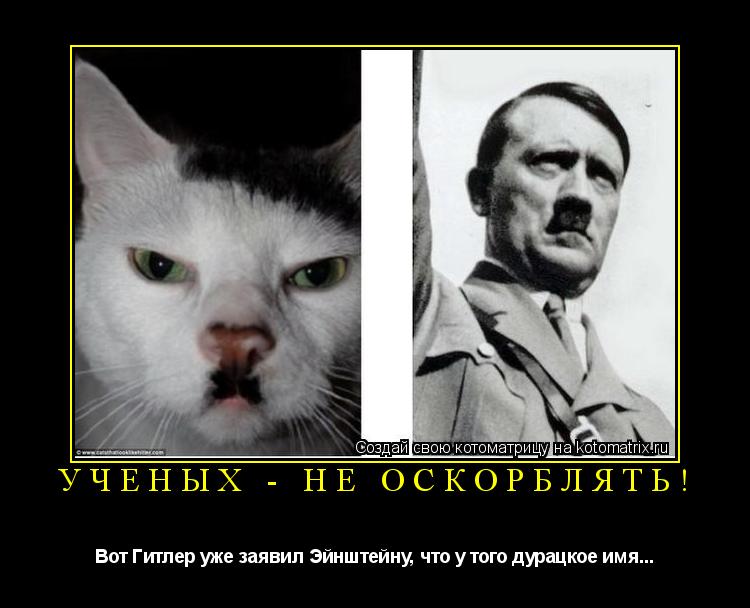 Ученых - не оскорблять! Вот Гитлер уже заявил Эйнштейну, что у того дурацкое имя...... Котоматрица: Ученых - не оскорблять! Вот Гитлер уже заявил Эйнштейну, что у того дурацкое имя...