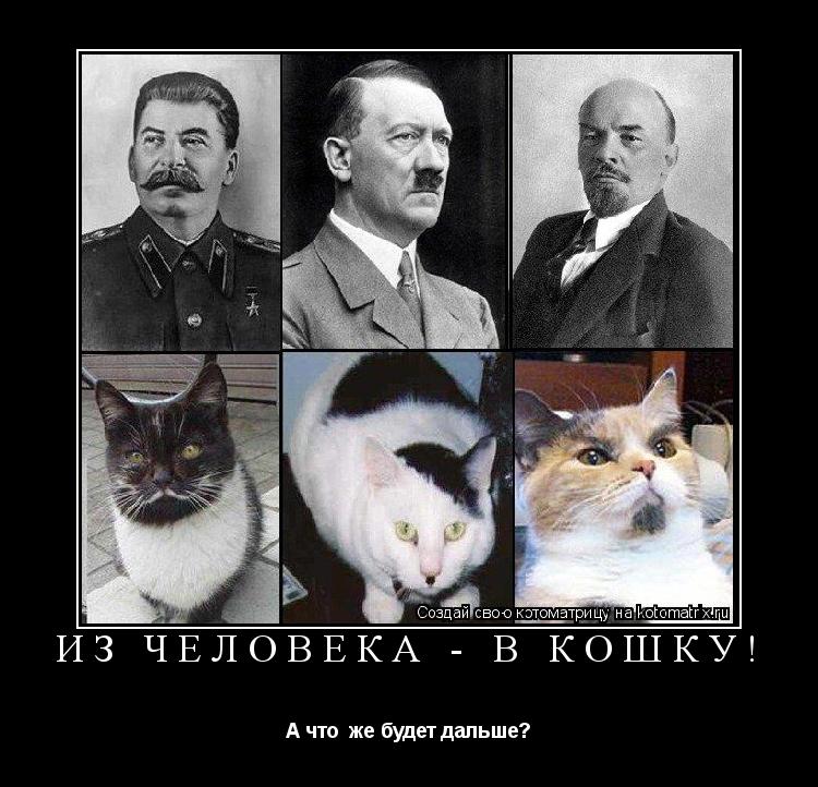 Из человека - в кошку! А что же будет дальше?... Котоматрица: Из человека - в кошку! А что же будет дальше?