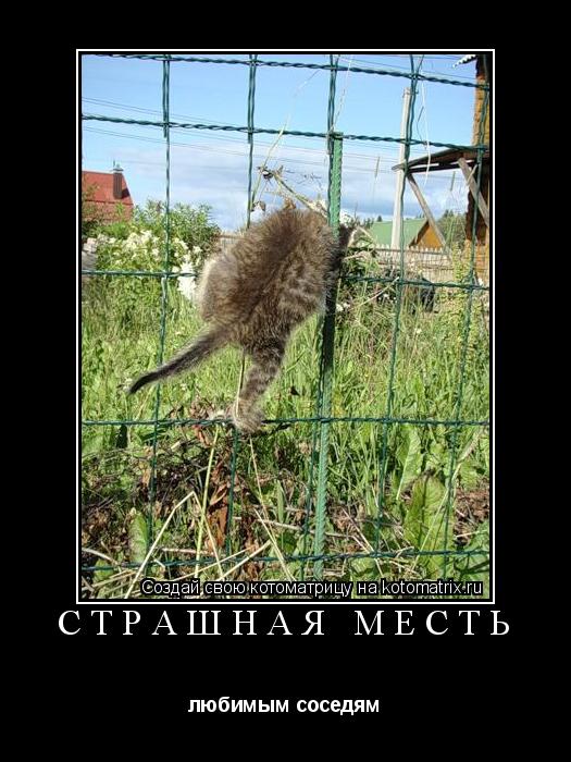 Котоматрица: Страшная месть любимым соседям