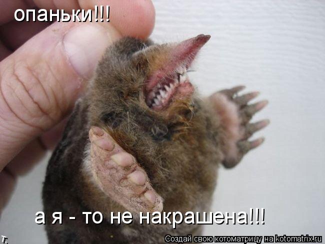 опаньки!!! а я - то не накрашена!!!... Котоматрица: опаньки!!! а я - то не накрашена!!!