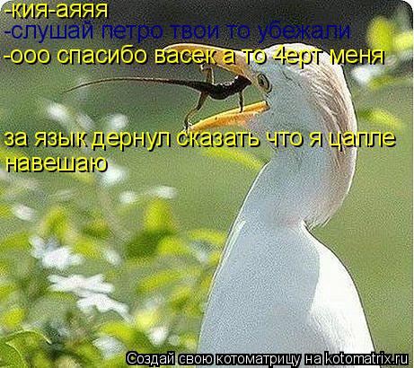 -кия-аяяя -слушай петро твои то убежали -ооо спасибо васек а то 4ерт меня за язык дернул сказать чт... Котоматрица: -кия-аяяя -слушай петро твои то убежали -ооо спасибо васек а то 4ерт меня за язык дернул сказать что я цапле навешаю