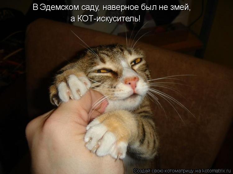В Эдемском саду, наверное был не змей, а КОТ-искуситель!... Котоматрица: В Эдемском саду, наверное был не змей, а КОТ-искуситель!