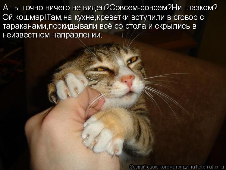 А ты точно ничего не видел?Совсем-совсем?Ни глазком? Ой,кошмар!Там,на кухне,креветки вступили в сгово... Котоматрица: А ты точно ничего не видел?Совсем-совсем?Ни глазком? Ой,кошмар!Там,на кухне,креветки вступили в сговор с тараканами,поскидывали всё со стол