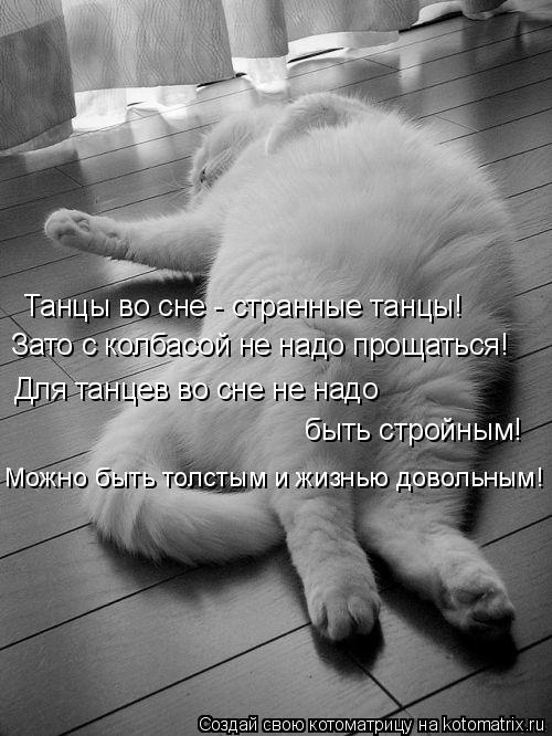 Танцы во сне - странные танцы! Зато с колбасой не надо прощаться! Для танцев во сне не надо быть стр... Котоматрица: Танцы во сне - странные танцы! Зато с колбасой не надо прощаться! Для танцев во сне не надо быть стройным! Можно быть толстым и жизнью доволь