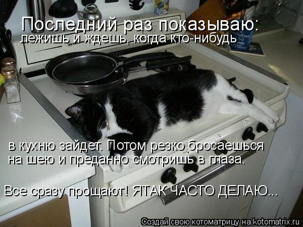 Последний раз показываю: лежишь и ждешь, когда кто-нибудь в кухню зайдет. Потом резко бросаешься на ш... Котоматрица: Последний раз показываю: лежишь и ждешь, когда кто-нибудь в кухню зайдет. Потом резко бросаешься на шею и преданно смотришь в глаза. Все сраз