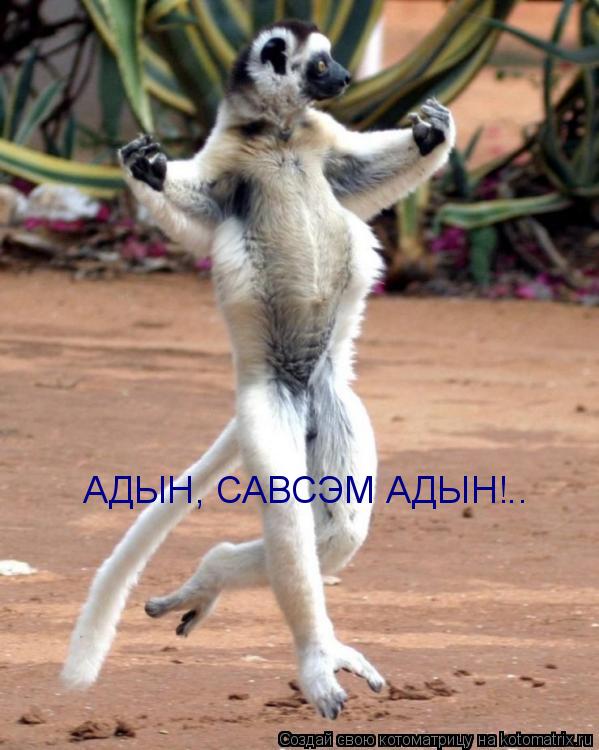 АДЫН, САВСЭМ АДЫН!..... Котоматрица: АДЫН, САВСЭМ АДЫН!..