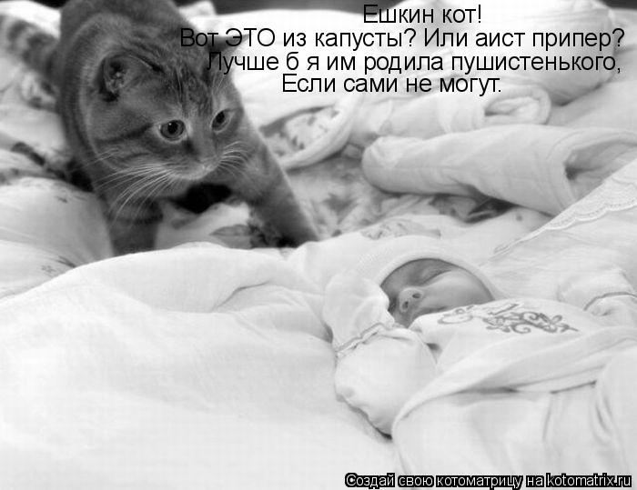 Ешкин кот! Вот ЭТО из капусты? Или аист припер? Лучше б я им родила пушистенького, Если сами не могут... Котоматрица: Ешкин кот! Вот ЭТО из капусты? Или аист припер? Лучше б я им родила пушистенького, Если сами не могут.