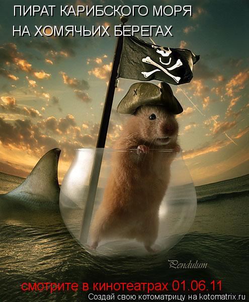 ПИРАТ КАРИБСКОГО МОРЯ НА ХОМЯЧЬИХ БЕРЕГАХ смотрите в кинотеатрах 01.06.11... Котоматрица: ПИРАТ КАРИБСКОГО МОРЯ НА ХОМЯЧЬИХ БЕРЕГАХ смотрите в кинотеатрах 01.06.11