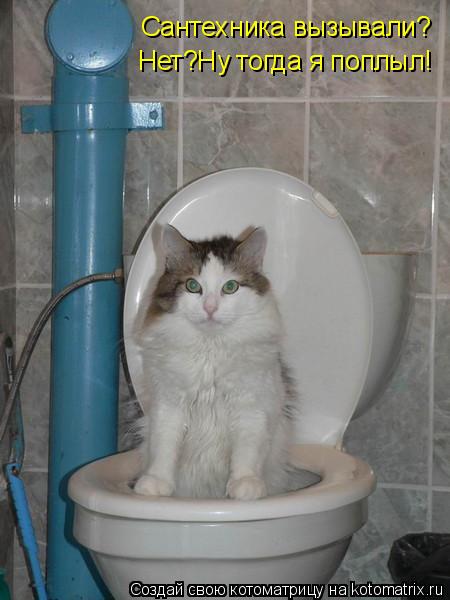 Сантехника вызывали? Нет?Ну тогда я поплыл!... Котоматрица: Сантехника вызывали? Нет?Ну тогда я поплыл!