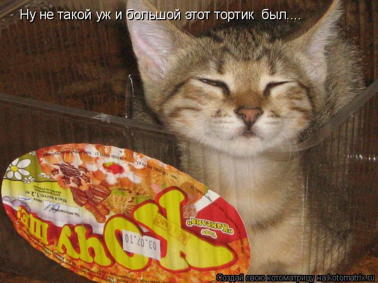 Ну не такой уж и большой этот тортик был....... Котоматрица: Ну не такой уж и большой этот тортик был....