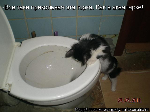 -Все таки прикольная эта горка. Как в аквапарке!... Котоматрица: -Все таки прикольная эта горка. Как в аквапарке!