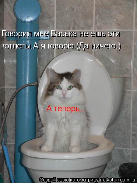 Говорил мне Васька не ешь эти котлеты.А я говорю:(Да ничего.) А теперь...... Котоматрица: Говорил мне Васька не ешь эти котлеты.А я говорю:(Да ничего.) А теперь...