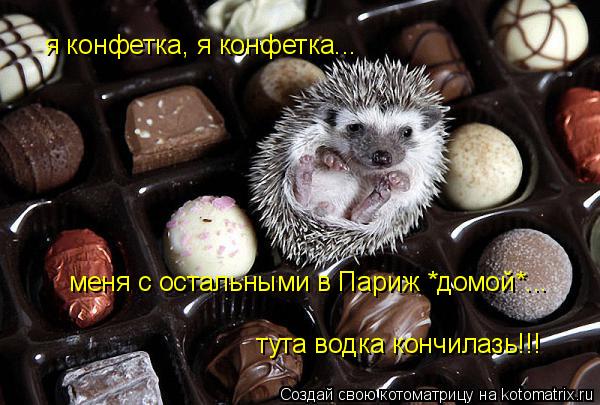 я конфетка, я конфетка... меня с остальными в Париж *домой*... тута водка кончилазь!!!... Котоматрица: я конфетка, я конфетка... меня с остальными в Париж *домой*... тута водка кончилазь!!!