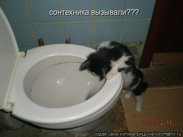 сонтехника вызывали???... Котоматрица: сонтехника вызывали???