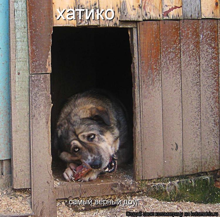 хатико самый верный друг ; ) ; )... Котоматрица: хатико самый верный друг ; ) ; )
