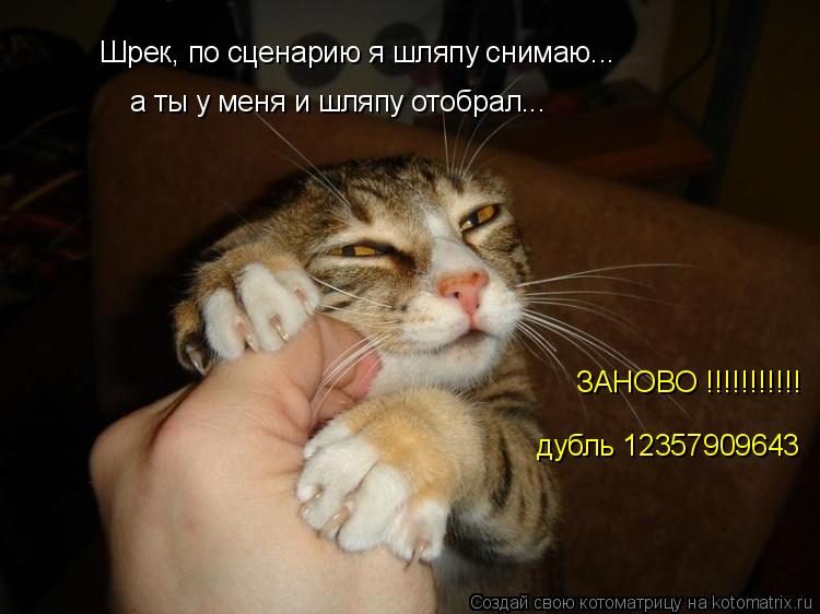 Шрек, по сценарию я шляпу снимаю... а ты у меня и шляпу отобрал... ЗАНОВО !!!!!!!!!!! дубль 123579096... Котоматрица: Шрек, по сценарию я шляпу снимаю... а ты у меня и шляпу отобрал... ЗАНОВО !!!!!!!!!!! дубль 12357909643
