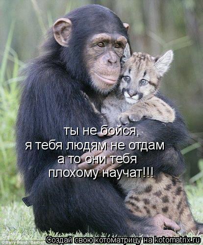 ты не бойся, я тебя людям не отдам а то они тебя плохому научат!!!... Котоматрица: ты не бойся, я тебя людям не отдам а то они тебя плохому научат!!!