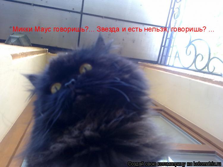 Микки Маус говоришь?... Звезда и есть нельзя, говоришь? ...... Котоматрица: Микки Маус говоришь?... Звезда и есть нельзя, говоришь? ...