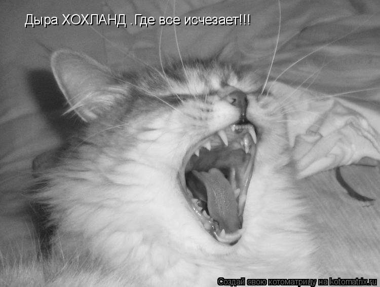 Дыра ХОХЛАНД .Где все исчезает!!!... Котоматрица: Дыра ХОХЛАНД .Где все исчезает!!!