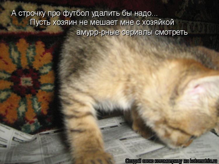 А строчку про футбол удалить бы надо... Пусть хозяин не мешает мне с хозяйкой амурр-рные сериалы см... Котоматрица: А строчку про футбол удалить бы надо... Пусть хозяин не мешает мне с хозяйкой амурр-рные сериалы смотреть