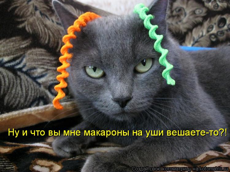 Ну и что вы мне макароны на уши вешаете-то?!... Котоматрица: Ну и что вы мне макароны на уши вешаете-то?!
