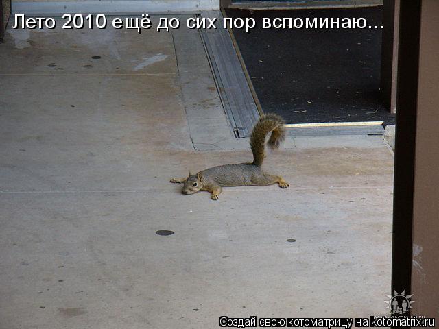 Лето 2010 ещё до сих пор вспоминаю...... Котоматрица: Лето 2010 ещё до сих пор вспоминаю...