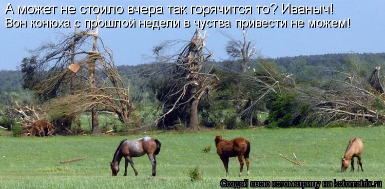 А может не стоило вчера так горячится то? Иваныч! Вон конюха с прошлой недели в чуства привести не мо... Котоматрица: А может не стоило вчера так горячится то? Иваныч! Вон конюха с прошлой недели в чуства привести не можем!