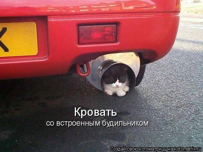 Кровать со встроенным будильником... Котоматрица: Кровать со встроенным будильником