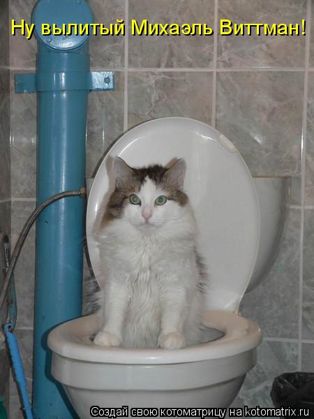 Котоматрица: Ну вылитый Михаэль Виттман!