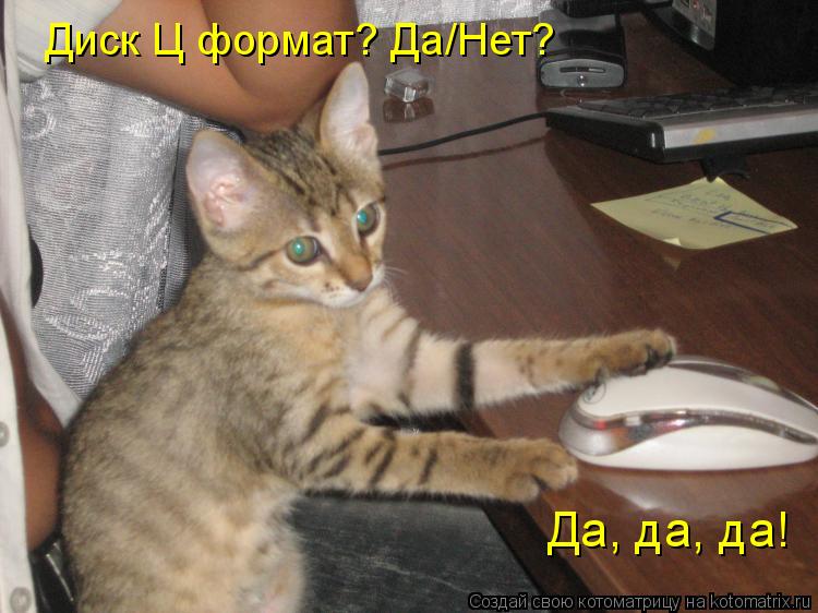 Диск Ц формат? Да/Нет? Да, да, да!... Котоматрица: Диск Ц формат? Да/Нет? Да, да, да!