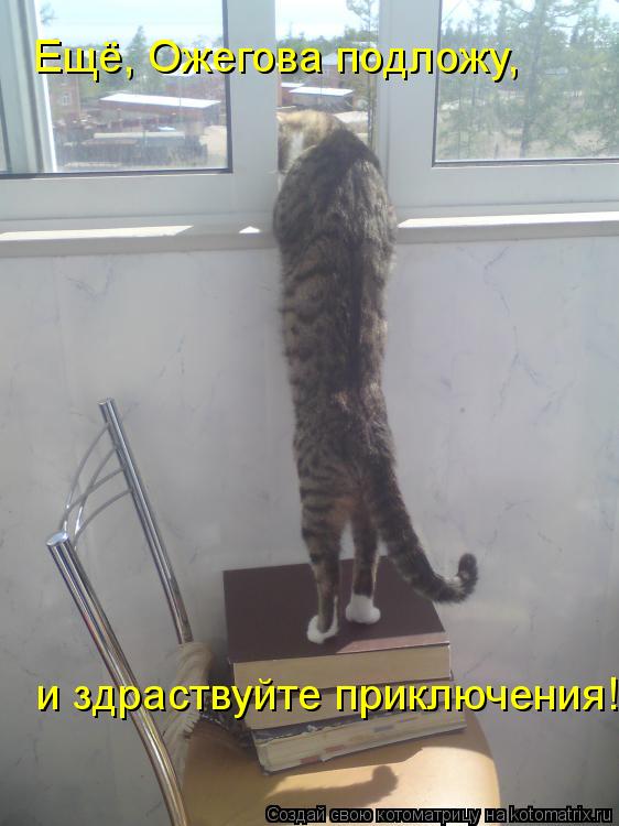 Ещё, Ожегова подложу, и здраствуйте приключения!... Котоматрица: Ещё, Ожегова подложу, и здраствуйте приключения!
