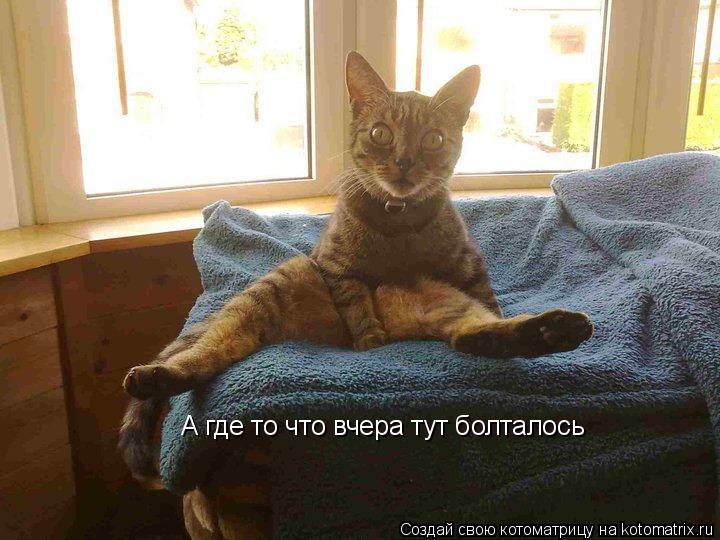 А где то что вчера тут болталось... Котоматрица: А где то что вчера тут болталось