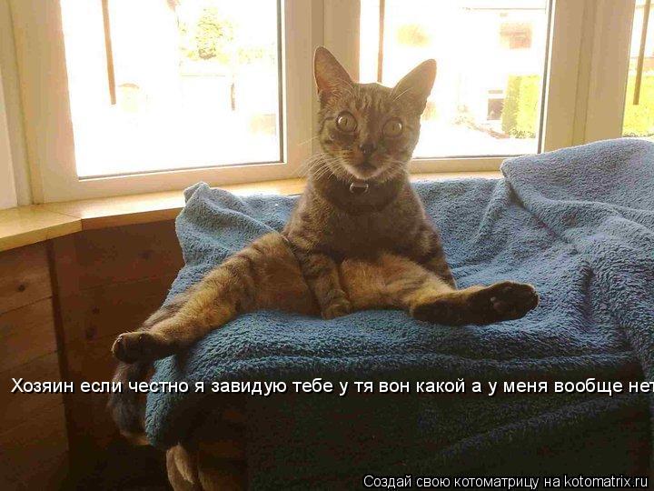 Хозяин если честно я завидую тебе у тя вон какой а у меня вообще нет... Котоматрица: Хозяин если честно я завидую тебе у тя вон какой а у меня вообще нет