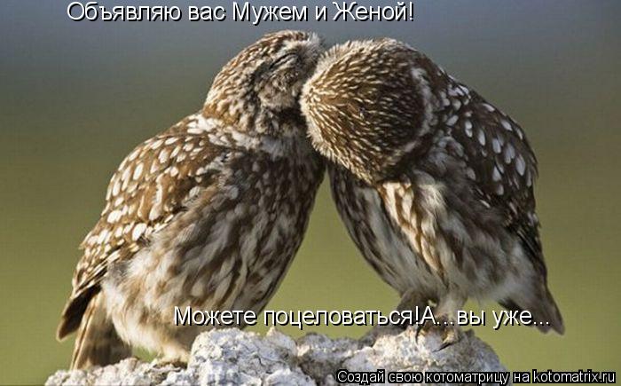 Объявляю вас Мужем и Женой! Можете поцеловаться!А...вы уже...... Котоматрица: Объявляю вас Мужем и Женой! Можете поцеловаться!А...вы уже...