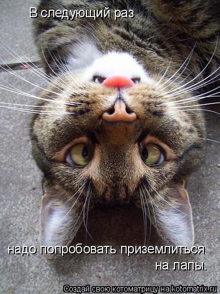 В следующий раз надо попробовать приземлиться на лапы.... Котоматрица: В следующий раз надо попробовать приземлиться на лапы.