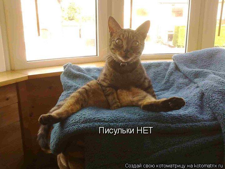 Писульки НЕТ... Котоматрица: Писульки НЕТ