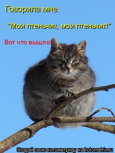 Говорила мне: Вот что вышло! "Мой птеньчик, мой птеньчик!"... Котоматрица: Говорила мне: Вот что вышло! "Мой птеньчик, мой птеньчик!"